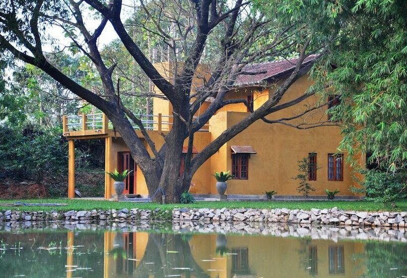 هتل Raintree