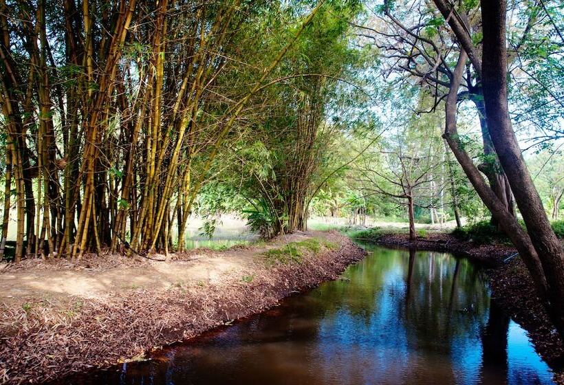 هتل Raintree