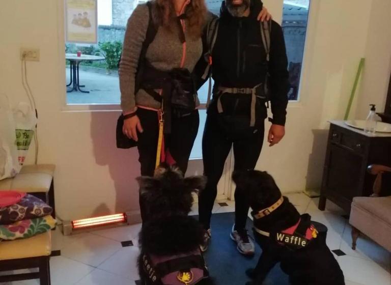 هاستل Pensión Alecer