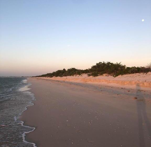 فندق Club De Patos