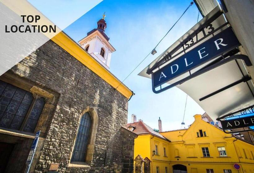 Fotos del hotel Adler:  4