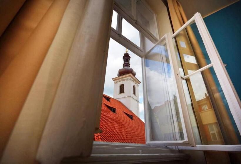 Fotos del hotel Adler:  12