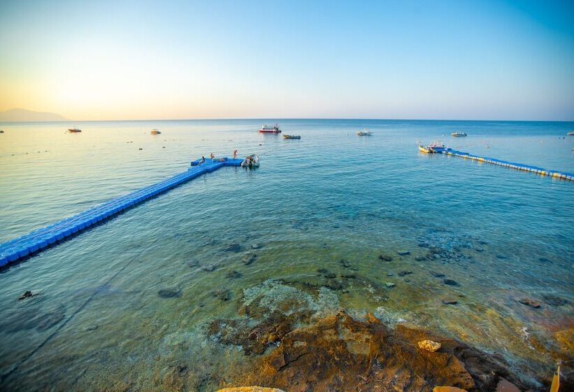 Doubletree By Hilton Sharm El Sheikh  Sharks Bay Resort