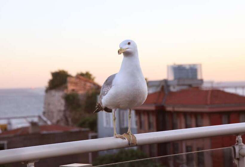 Fotos del hotel Almina Guest House:  20