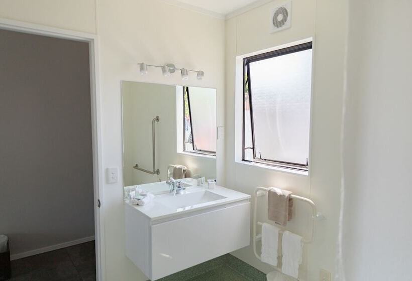 Отель Bks Palm Court Motor Lodge