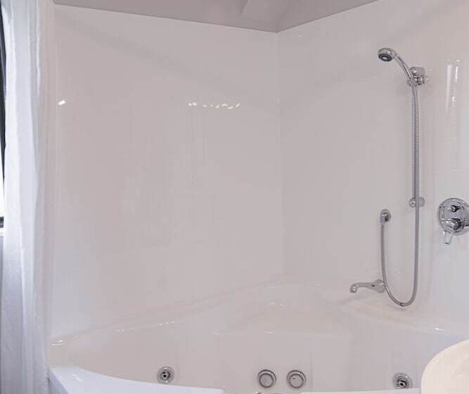 Отель Bks Palm Court Motor Lodge