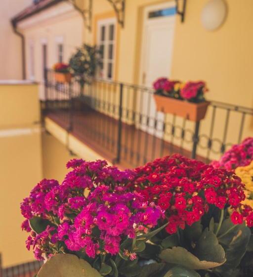 Fotos del hotel Boutique Hotel Constans:  20