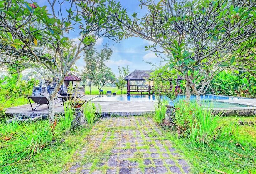 Fotos del hotel Suly Vegetarian Resort And Spa:  13