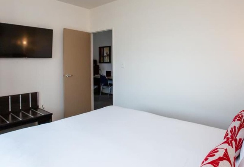 هتل Distinction New Plymouth