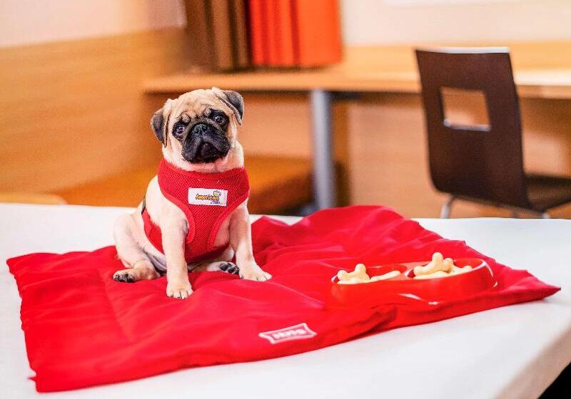 Fotos del hotel Ibis Sao Paulo Interlagos:  13