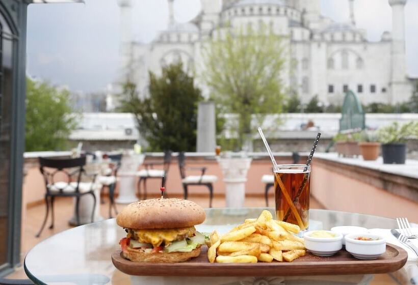 Fotos del hotel Sultanahmet Palace Hotel  Special Class:  48