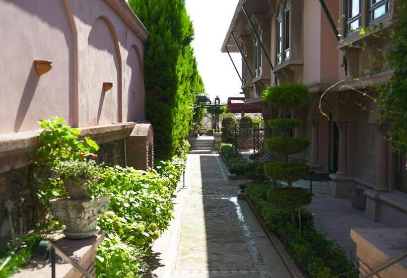 Fotos del hotel Sultanahmet Palace Hotel  Special Class:  64