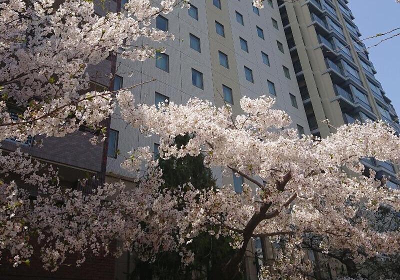 Fotos del hotel The Royal Park  Hiroshima Riverside:  36