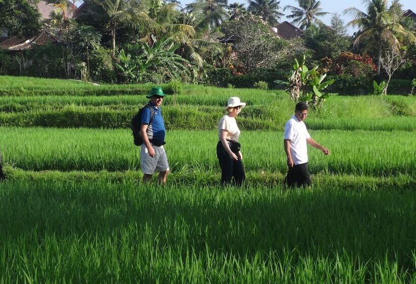 Fotos del hotel The Sungu Resort & Spa:  8