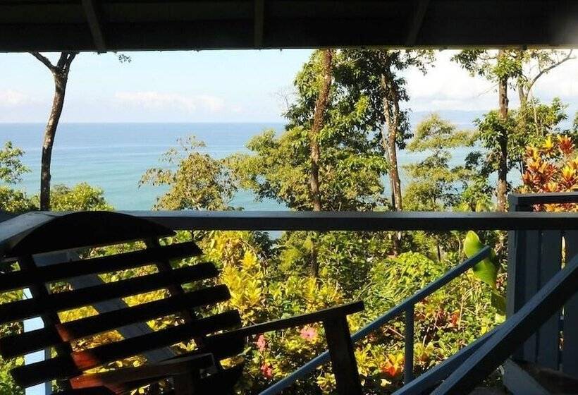 ホテル Tiskita Jungle Lodge