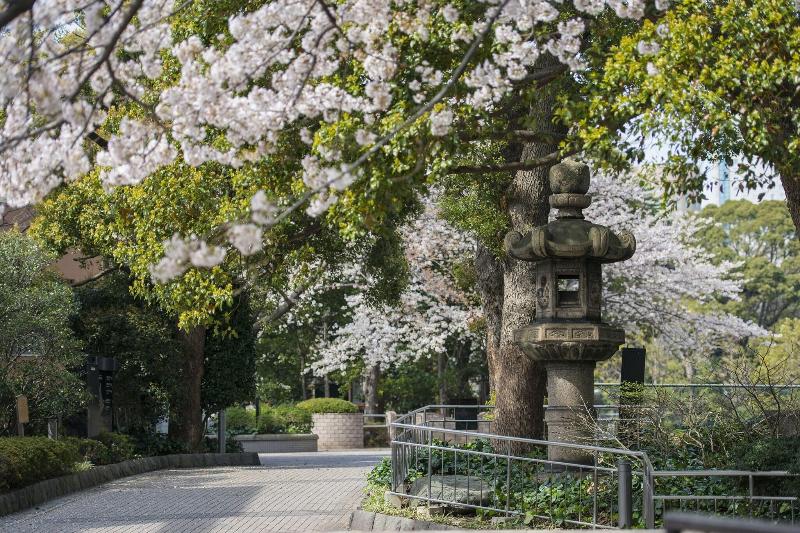 Fotos del hotel Tokyo Marriott:  8
