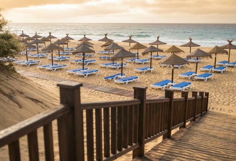 Fotos del hotel Vila Baleira Porto Santo:  94