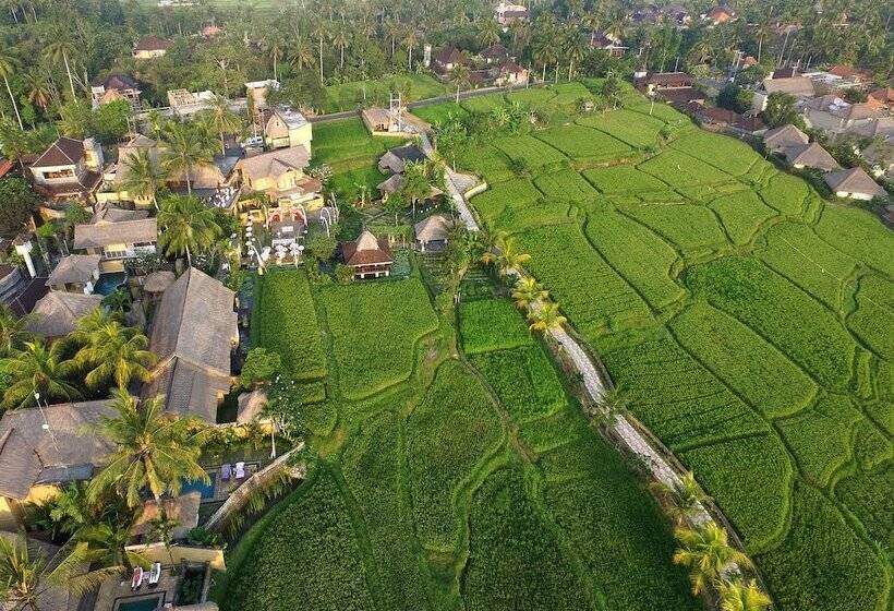 Hotel Wapa Di Ume Ubud