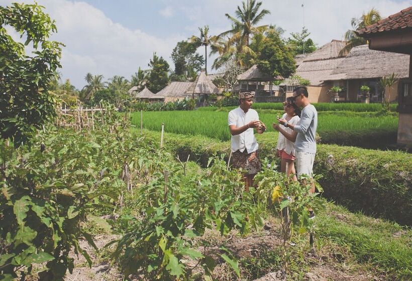 Hotel Wapa Di Ume Ubud