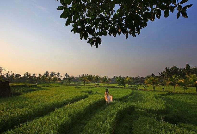 Hotel Wapa Di Ume Ubud