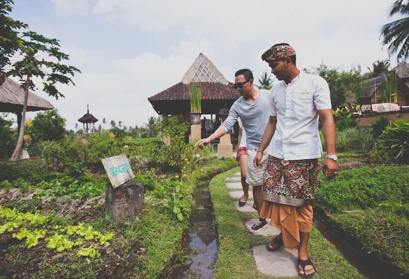 Fotos del hotel Wapa Di Ume Ubud:  22