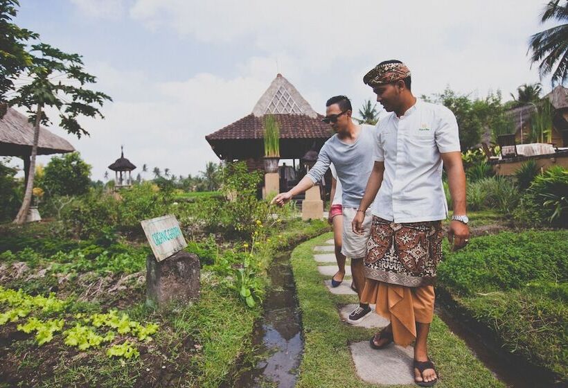 Hotel Wapa Di Ume Ubud