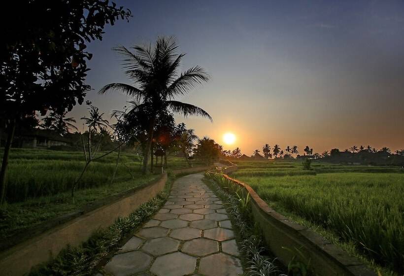 Hotel Wapa Di Ume Ubud