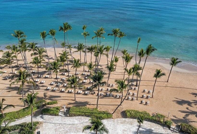 Fotos del hotel Dreams Punta Cana:  16