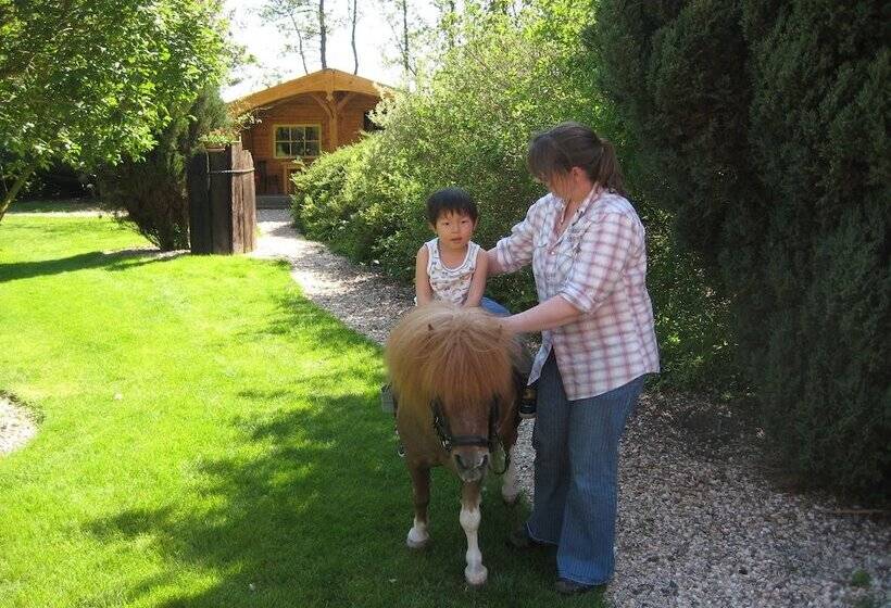 בית מלון כפרי De Nieuwe Tijd Wieringermeer