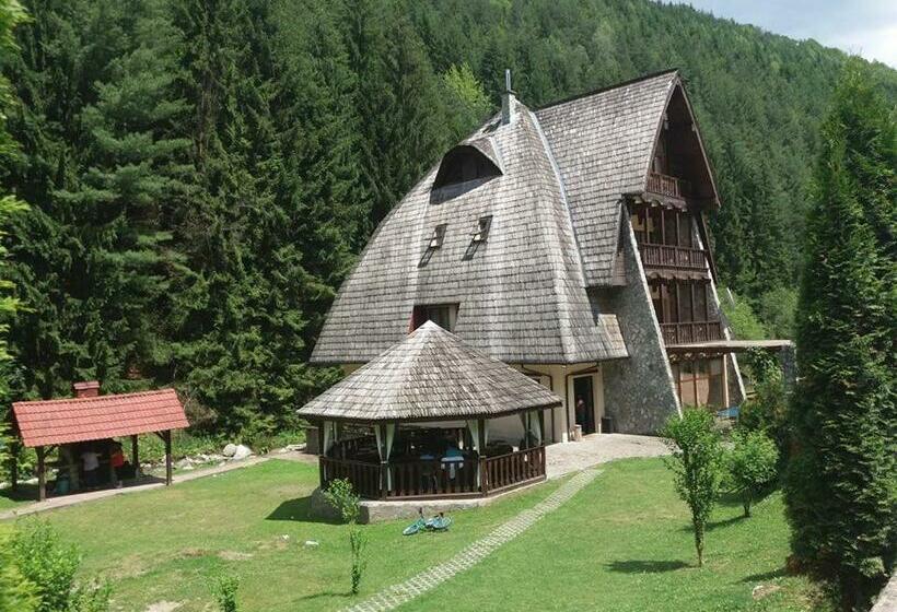 Отель Vila Ursul
