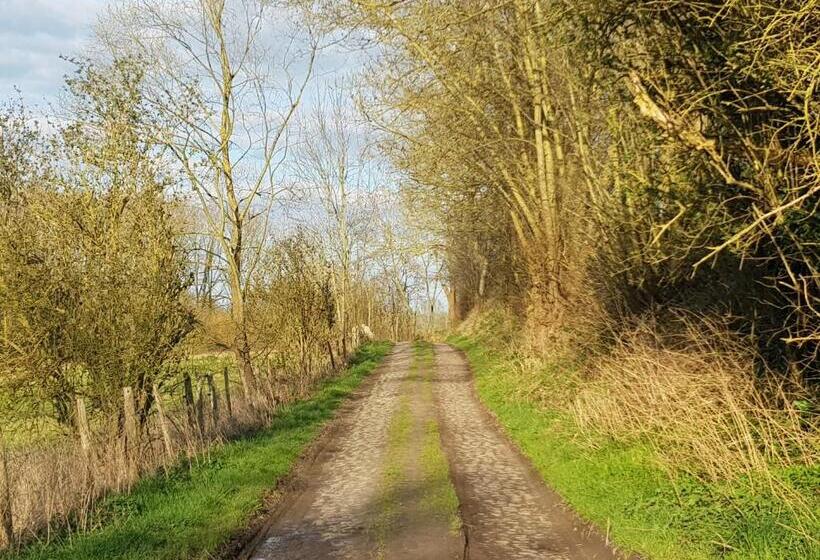 تختخواب و صبحانه Boslucht Leuven