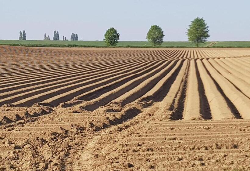 تختخواب و صبحانه Boslucht Leuven