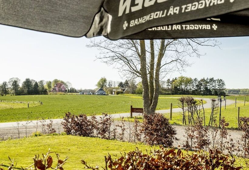 تختخواب و صبحانه Godstedlund