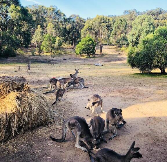 酒店 Hilltop Tiny House By Tiny Away