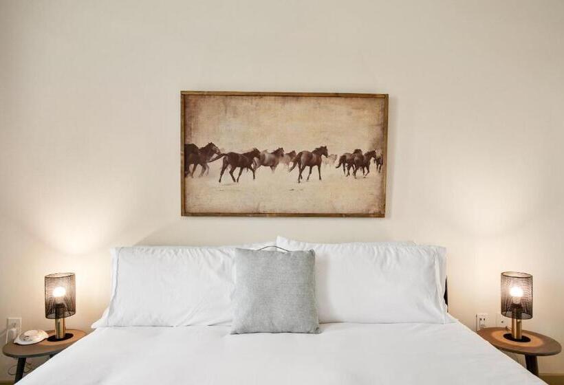 Kasa Love Fieldmedical District Dallas