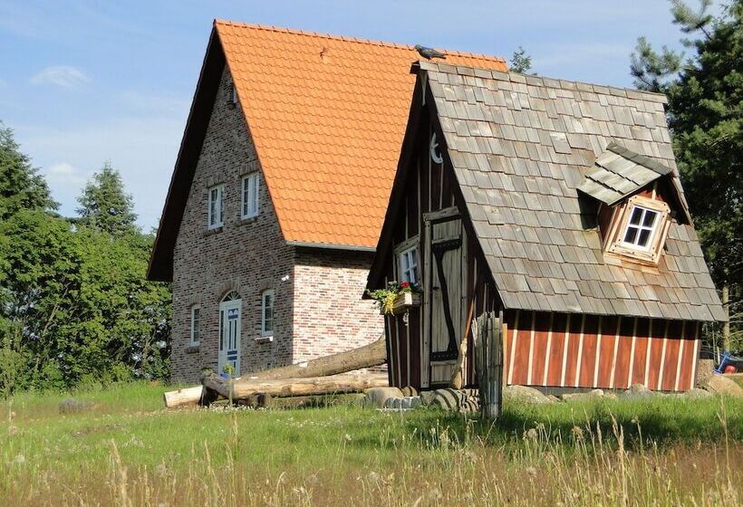 Bispinger Heidezauber