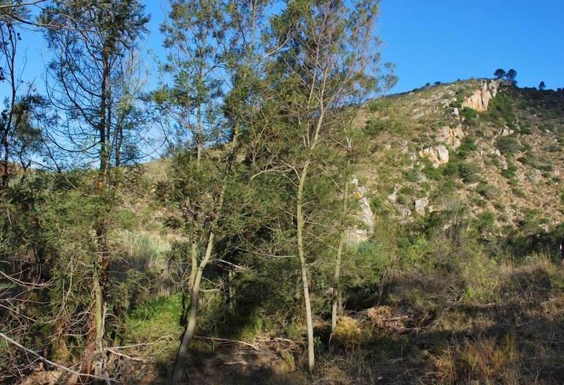 ホテル Avani Lodge Private Nature Reserve