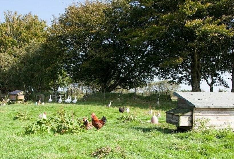 Inviting 2 Bed Cottage In Newcastle Emlyn