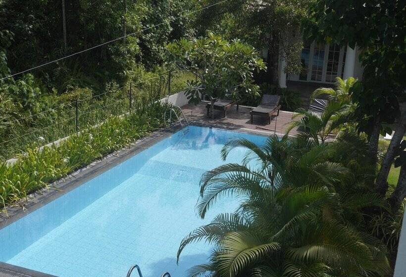 پانسیون Pearl Villa Welhengoda