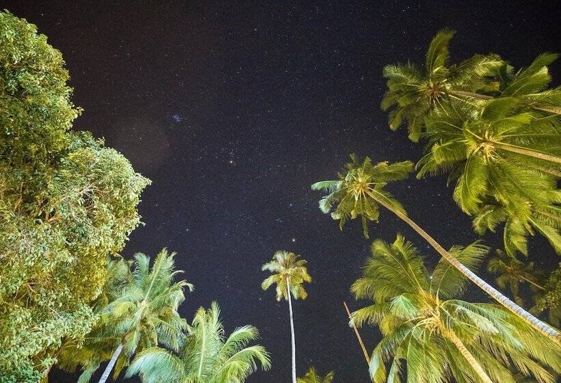 هتل 1511 Coconut Grove