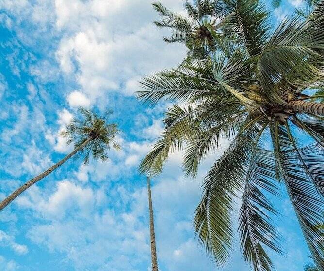 هتل 1511 Coconut Grove