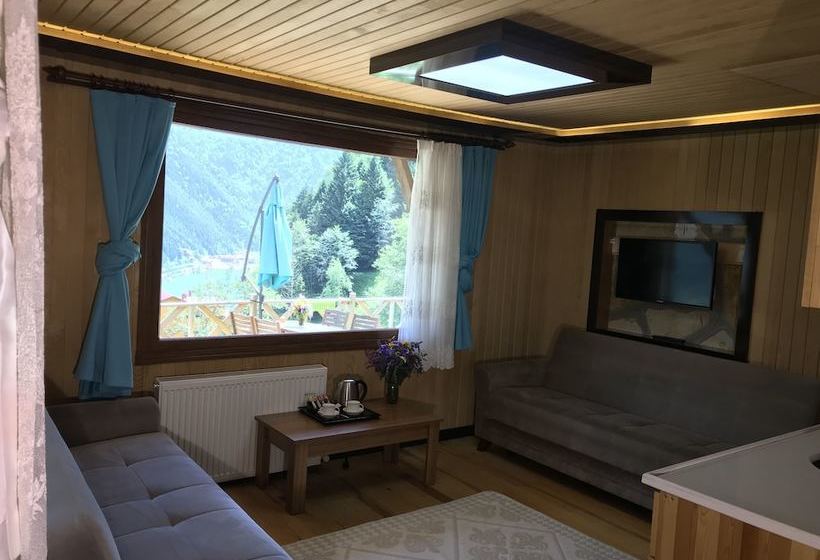 Ozen Villa Apart
