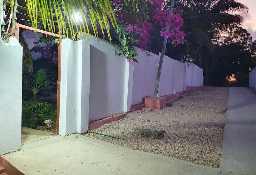 پانسیون Baridi Villa