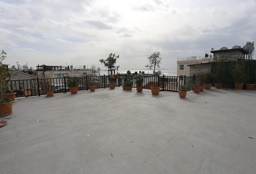 Fotos del hotel Albatros Premier:  30