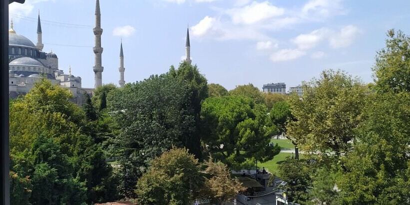 Fotos del hotel Armagrandi Spina Hotel-special Category:  35