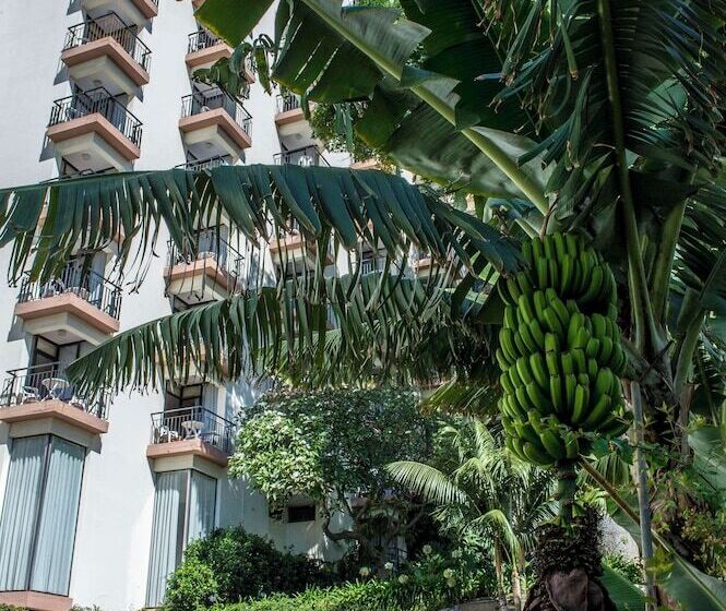 Fotos del hotel Dorisol Mimosa Studio:  42