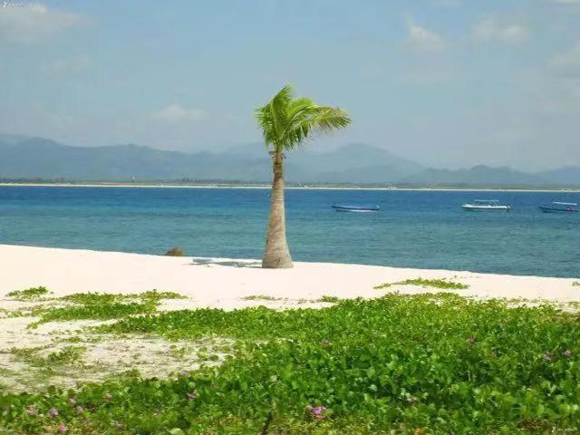 酒店 Sanya Royal Garden Resort