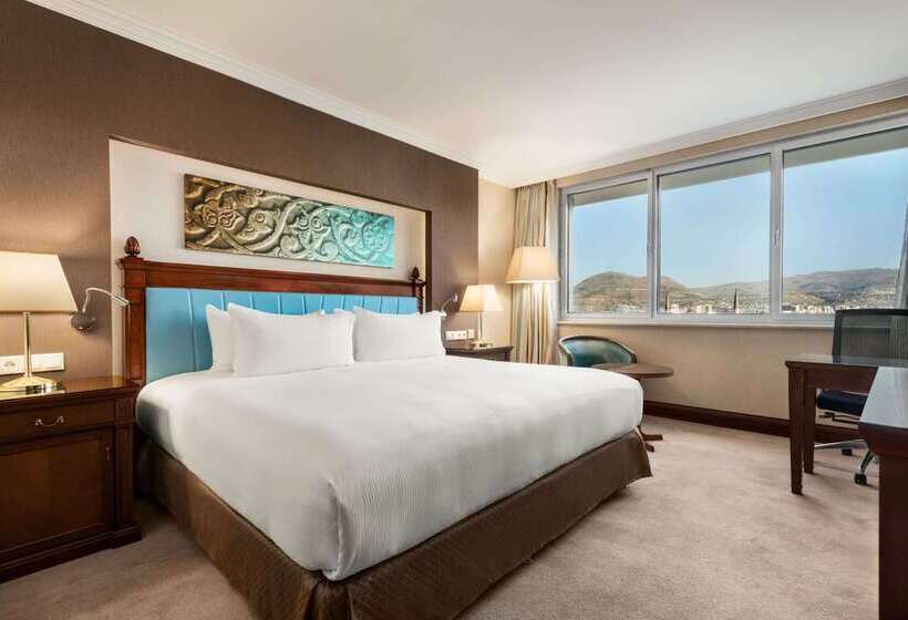 ホテル Wyndham Grand Kayseri