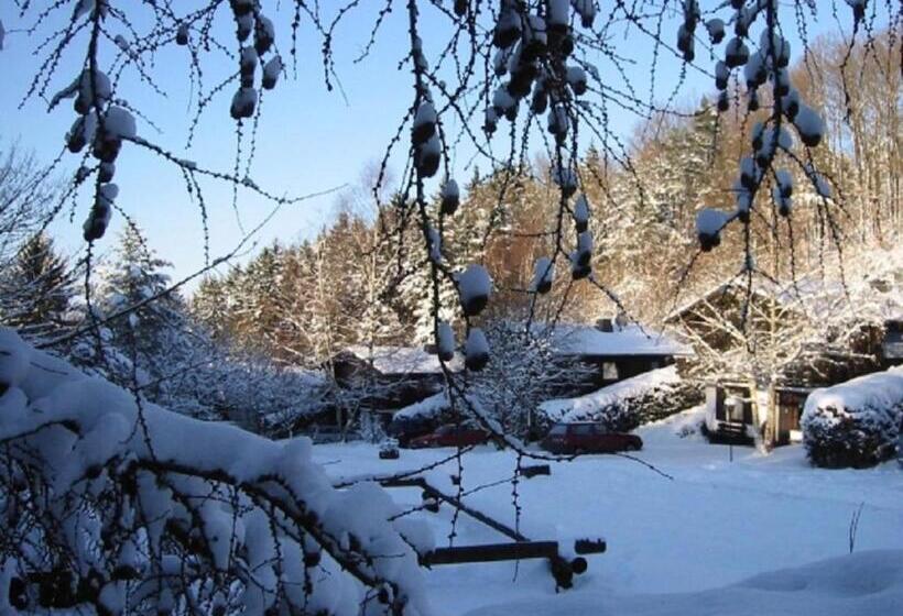 リゾートホテル Haus 1   Typ B