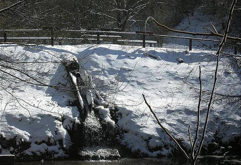 リゾートホテル Haus 1   Typ B